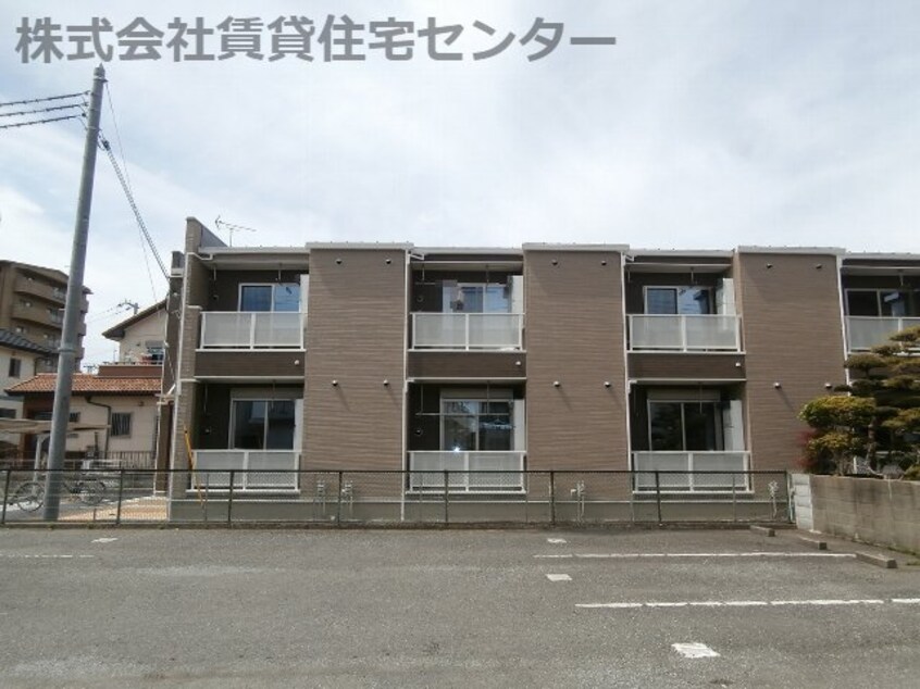  プルメリア
