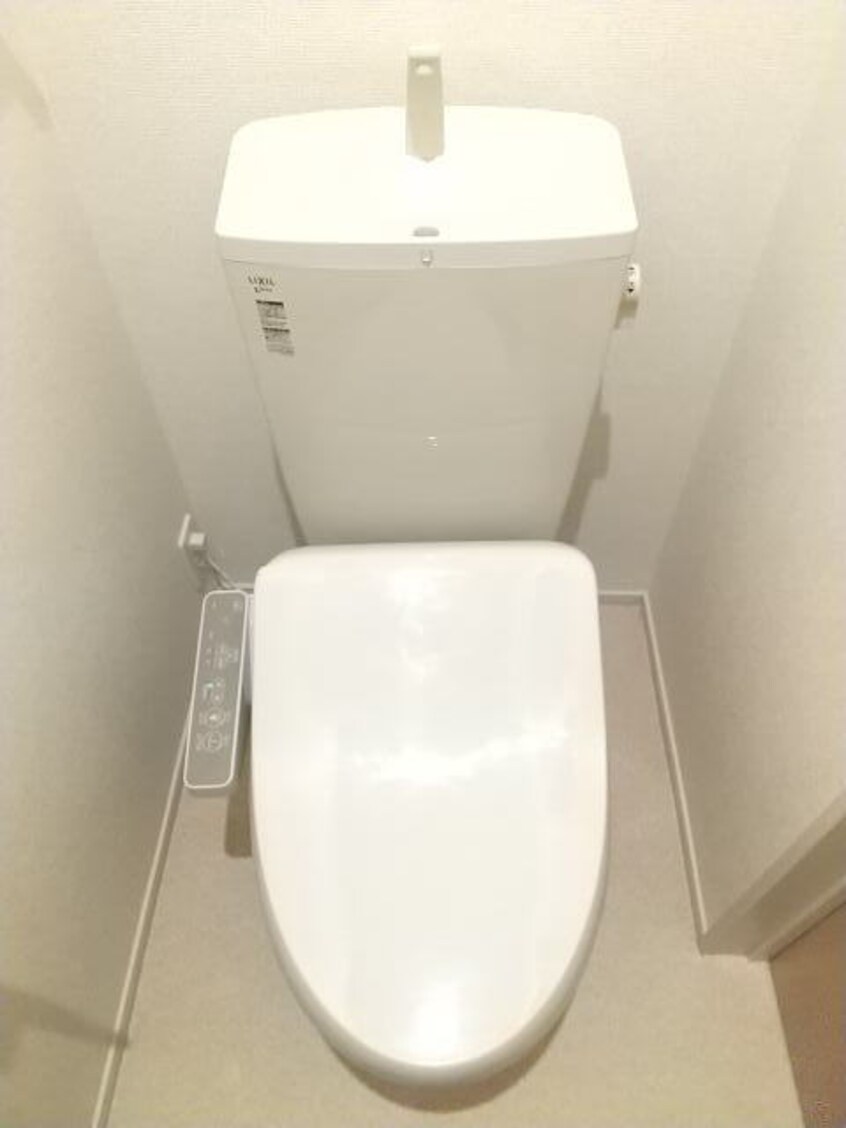 同仕様 プルメリア