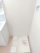 同仕様 プルメリア