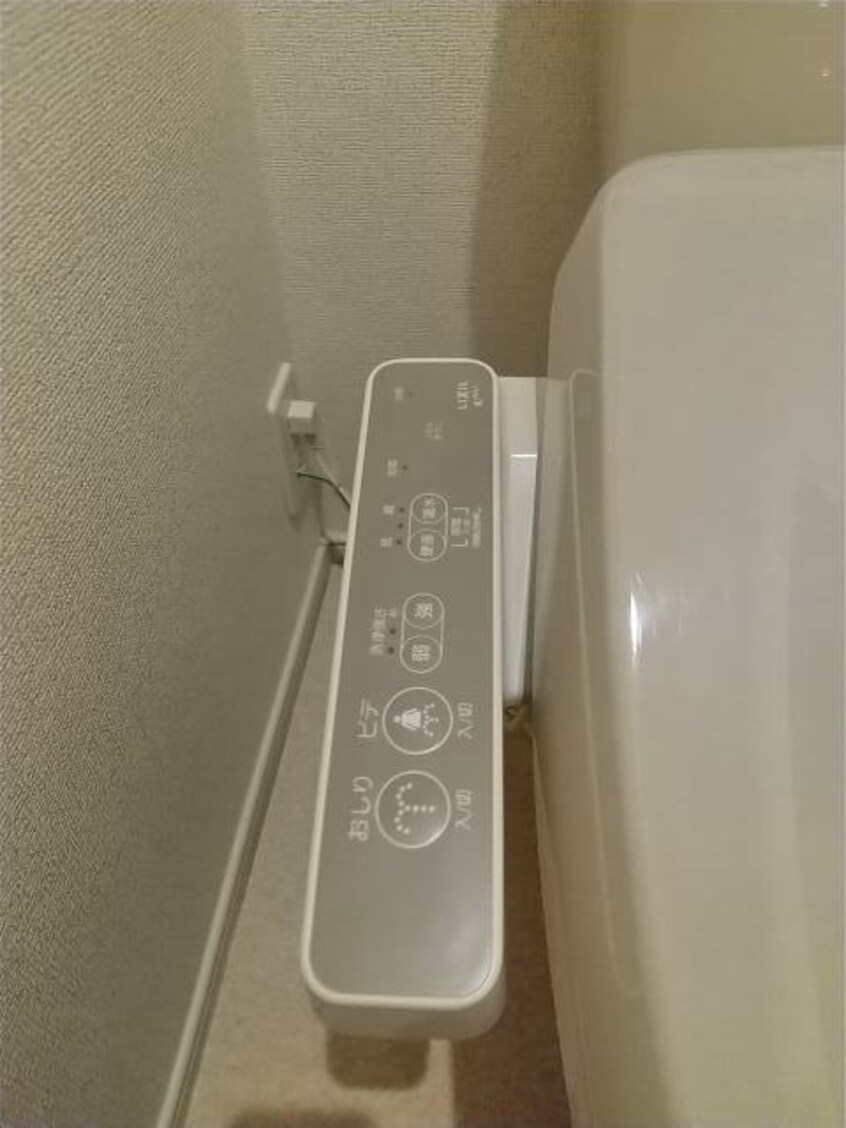 同仕様 プルメリア