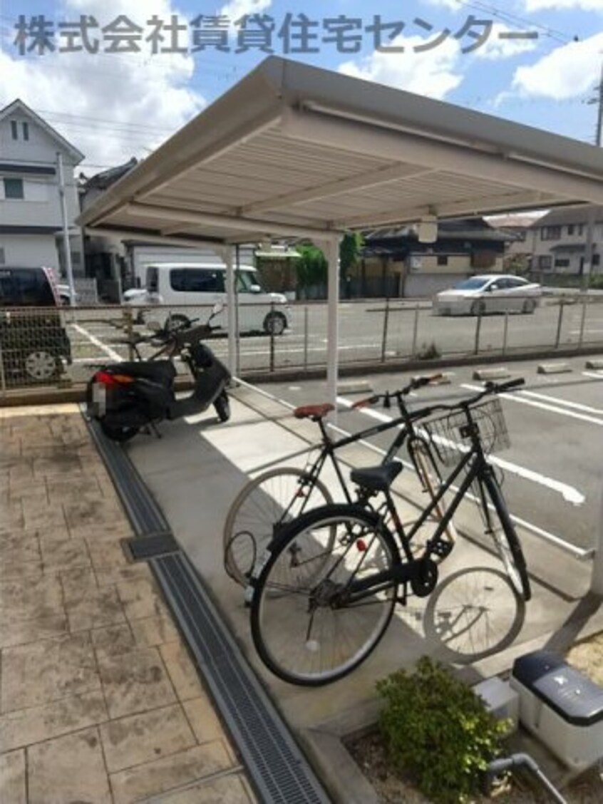  プルメリア