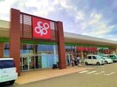 コープ 中之島店様(スーパー)まで501m ファミール中之島