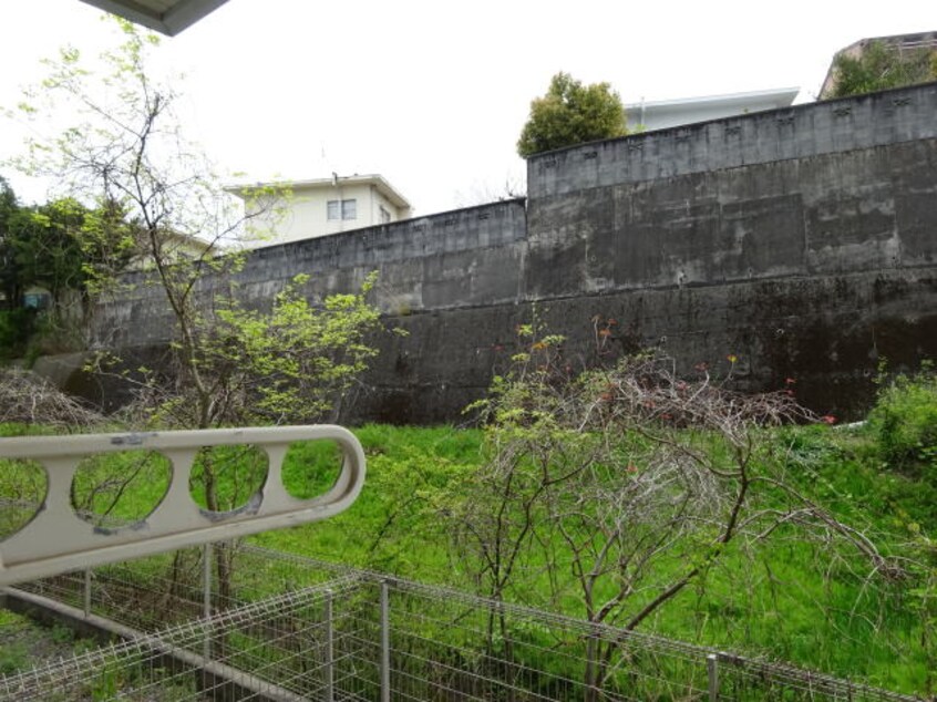  セレーノ・アルドーレⅡ