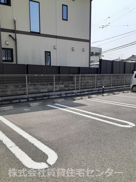  カテュルスフェリスⅢ