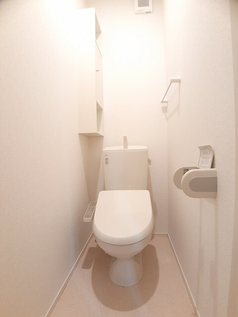  カテュルスフェリスⅢ