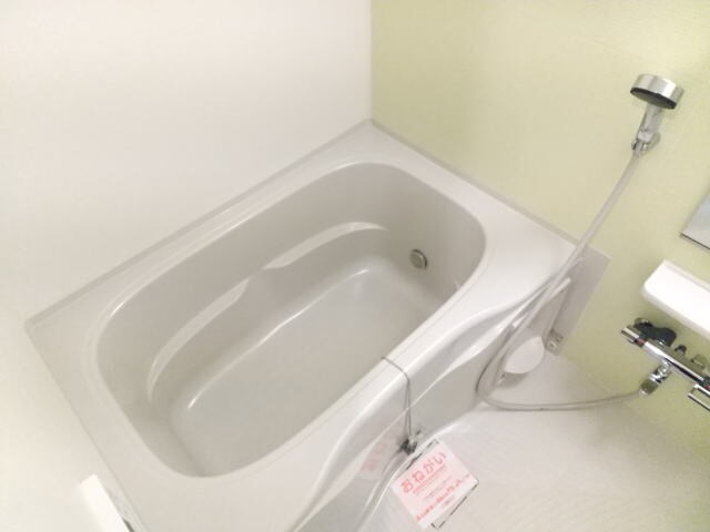  カテュルスフェリスⅢ