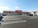 ツルハドラッグ和歌山木ノ本店様(ドラッグストア)まで199m 南海本線/和歌山市駅 バス20分警察学校下車:停歩3分 2階 築19年
