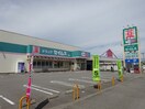 ドラッグセイムス西脇店(ドラッグストア)まで953m 西庄マンション