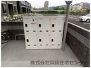  サニーホワイトⅧ