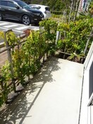 テラス 阪和線・羽衣線/六十谷駅 徒歩14分 1階 築12年