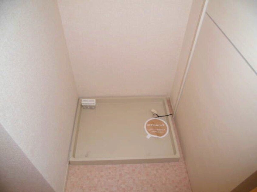  ウィット塩屋