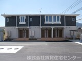 ストレリチア