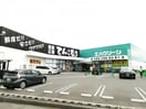 エバグリーン 宮街道店様(スーパー)まで627m D-Luce 秋月