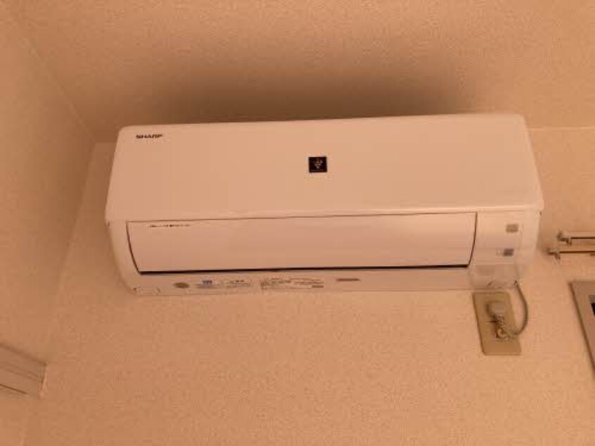  ディアス小雑賀