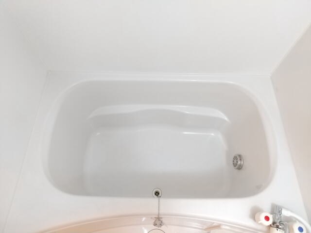  南海本線/和歌山市駅 バス13分土入橋下車:停歩17分 2階 築20年