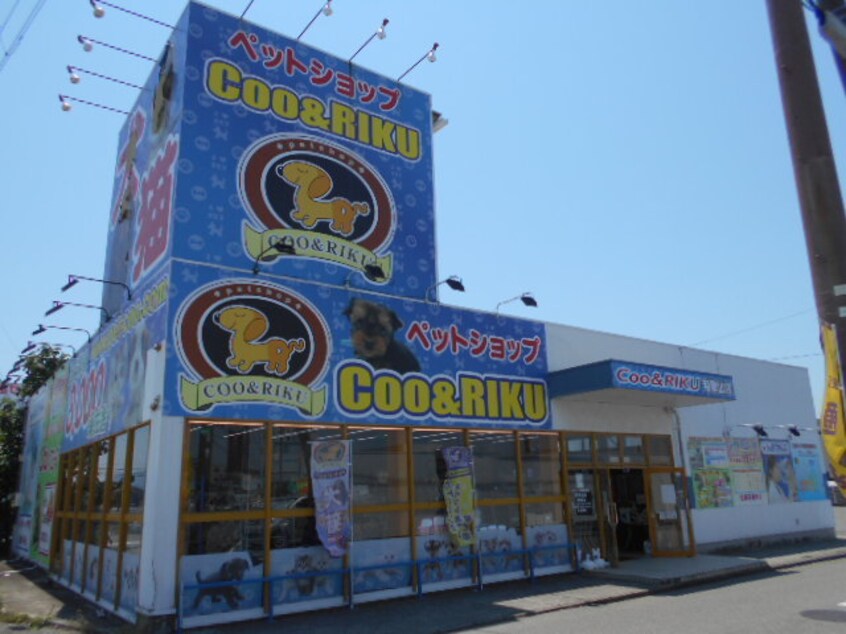 ペットショップCoo&RIKU 和歌山店様まで785m ミル・クレール アネックス　A棟