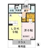 コンフォート 1LDKの間取り
