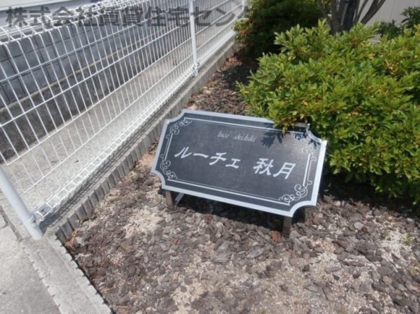  ルーチェ 秋月