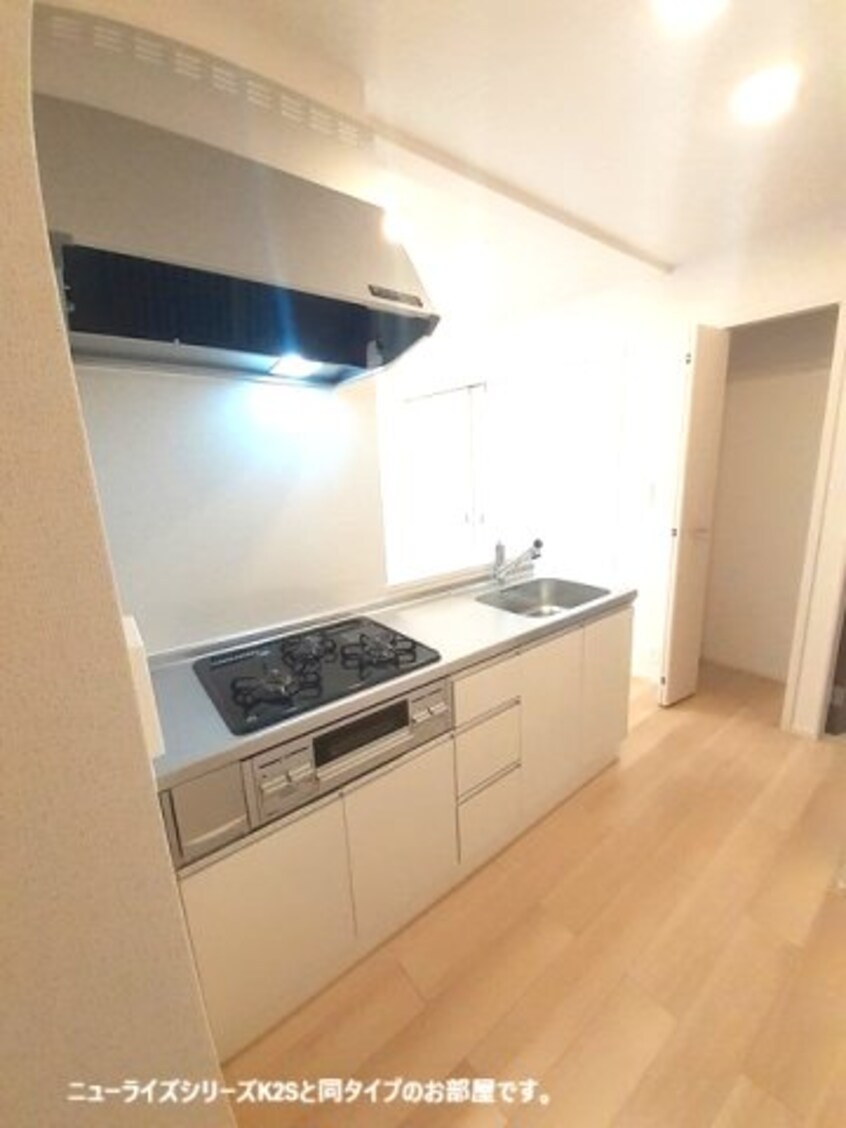 同仕様 南海本線/紀ノ川駅 徒歩19分 2階 建築中