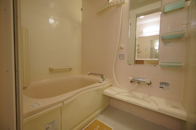 同仕様 セジュールショコラ