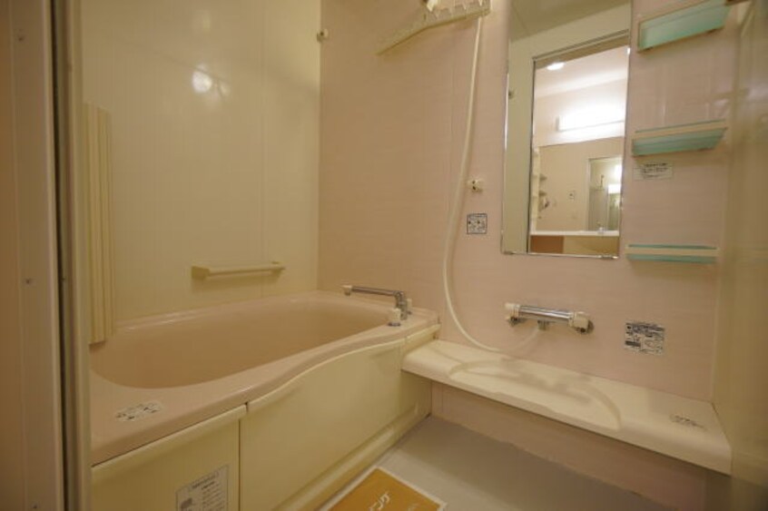 同仕様 セジュールショコラ