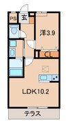 グラン フェリシア 1LDKの間取り