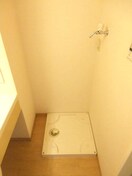 同仕様 ピノ コラ