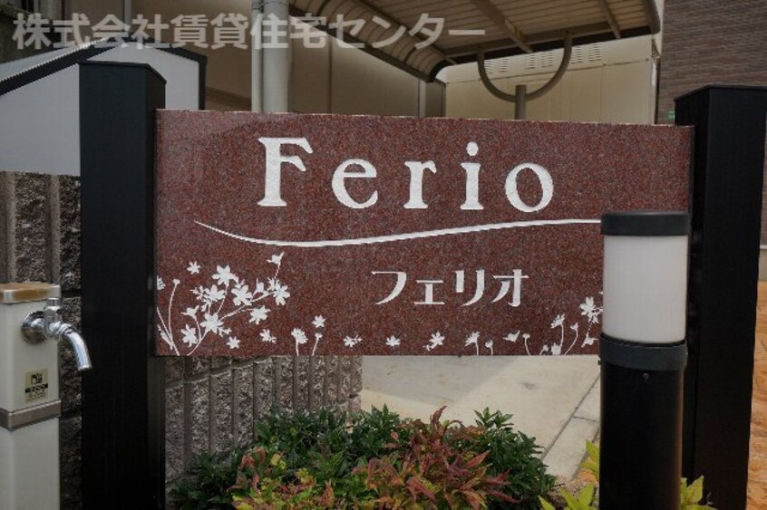  フェリオ