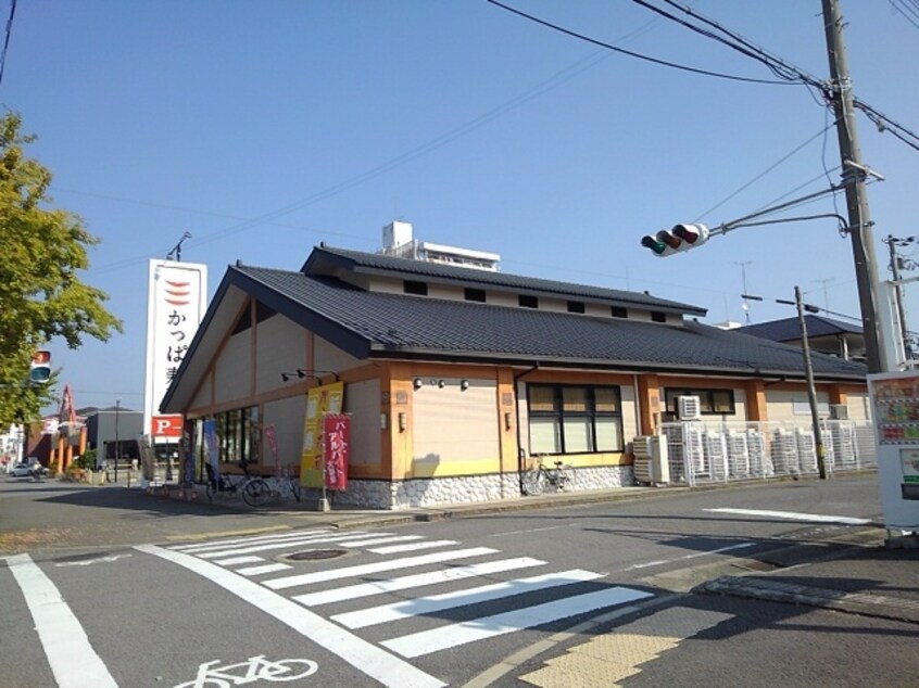 かっぱ寿司 和歌山店様 1229m フェリオ