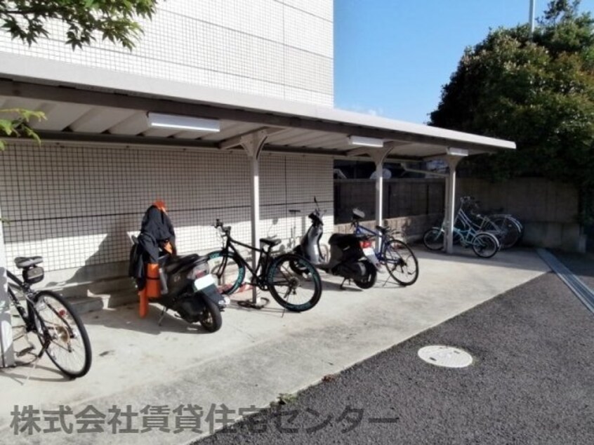  ピースフル モア メルセ