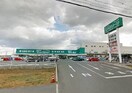 スーパーエバグリーンプラス和歌山北インター店 869m ハイツＰｉｒａ