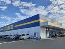 NEX 西庄店様(スーパー)まで820m 西庄第３マンション
