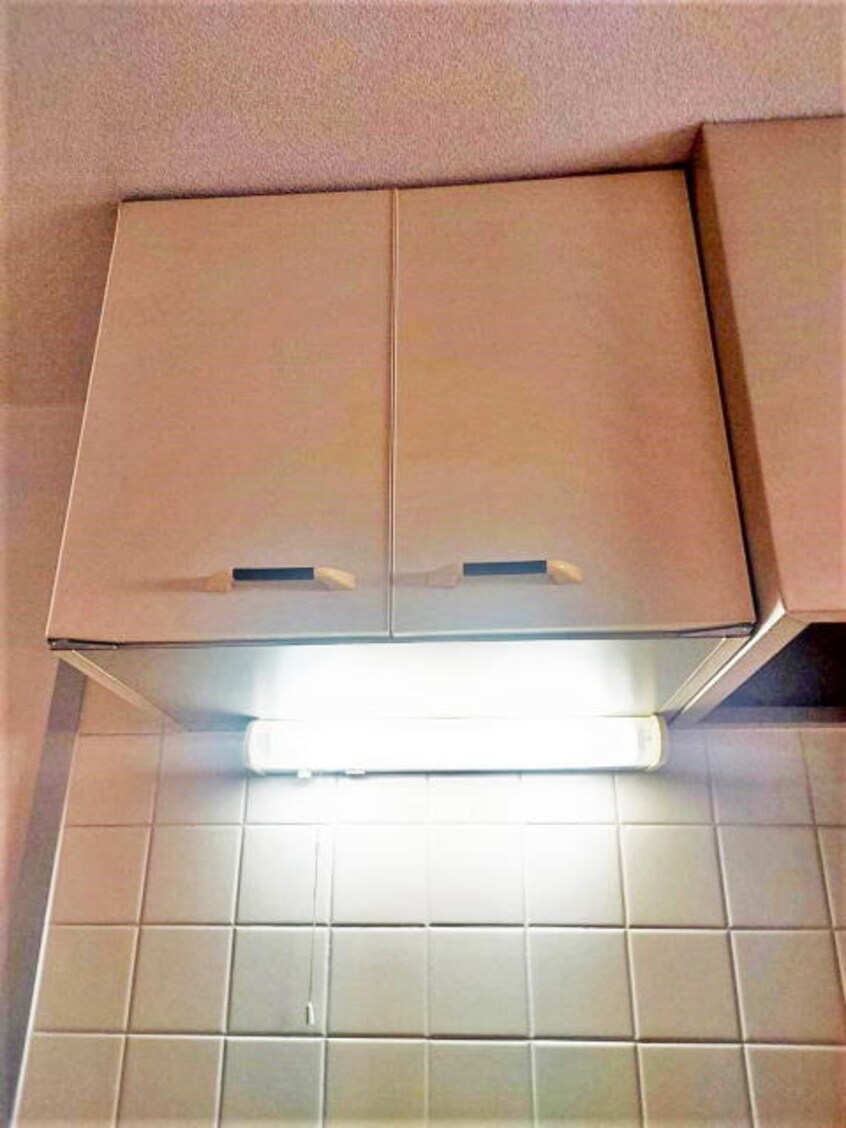 同仕様 グリーンフルたまい