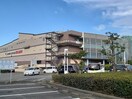 スーパーセンターオークワパームシティ和歌山店様(ショッピングセンター/アウトレットモール)まで718m レオパレス中松江第3