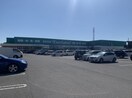 スーパーエバグリーン 福島店様(スーパー)まで1186m レオパレス島橋第５