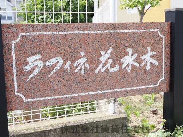  ラフィネ花水木