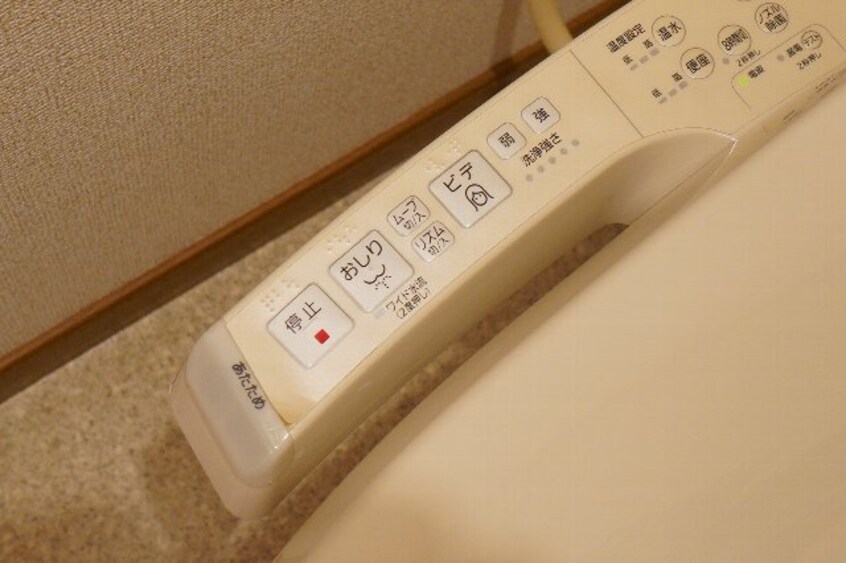  ラフィネ花水木