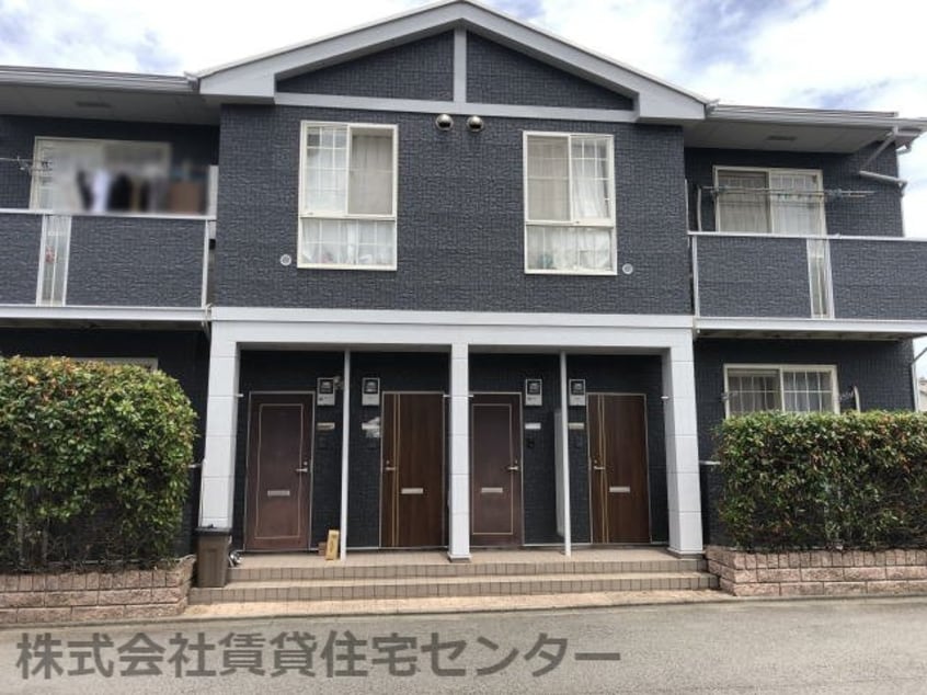  セーリウス梅原Ⅱ