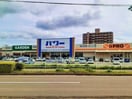 コメリパワー紀ノ川店様(電気量販店/ホームセンター)まで672m JOY WAVE YAMATO B棟