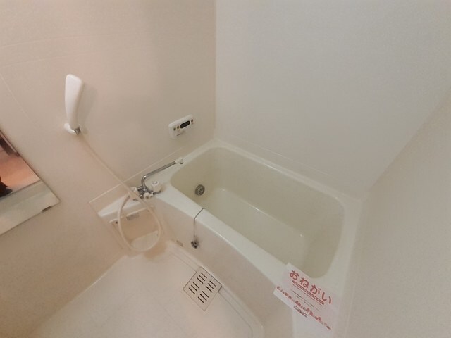  メゾンコニファーⅡ