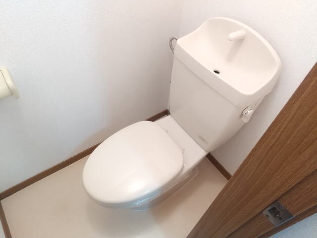  メゾンコニファーⅡ