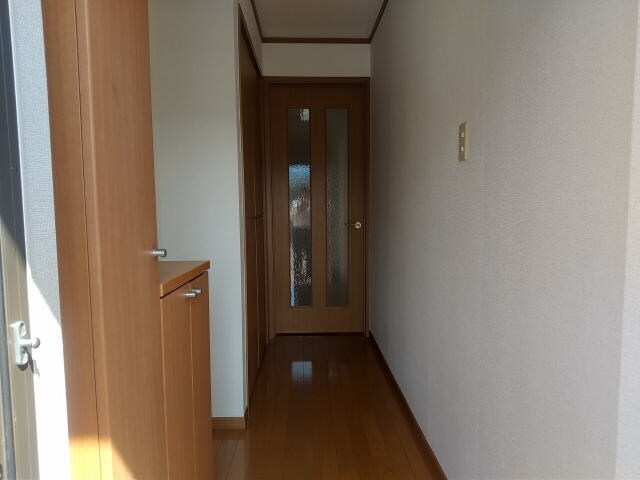  メゾンコニファーⅡ