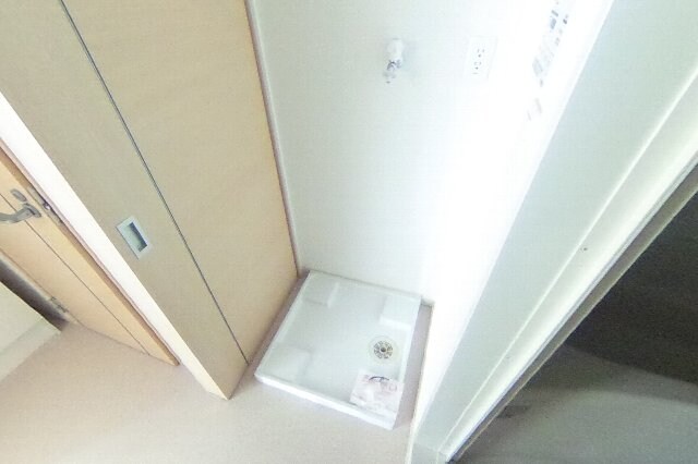  プランテーション