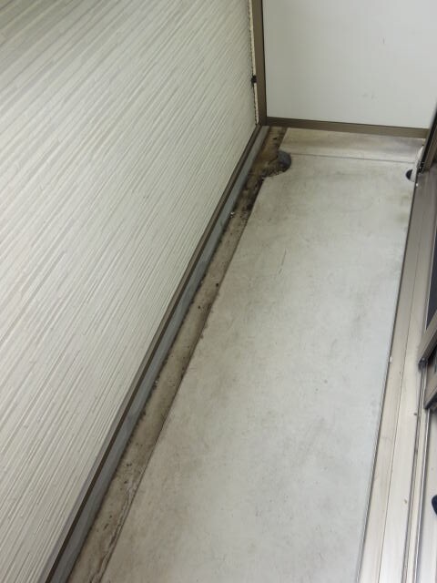  きのくに線・紀勢本線/和歌山駅 徒歩14分 1階 築8年