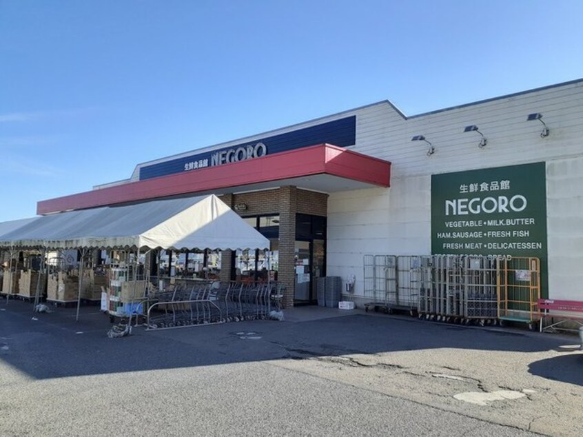 スーパーネゴロ 岩出店様(スーパー)まで705m ラ・カーサ　フェリーチェ