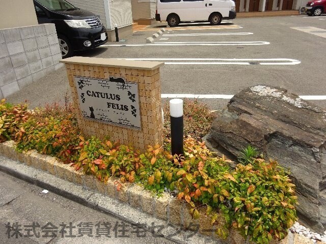  カテュルスフェリスⅢ