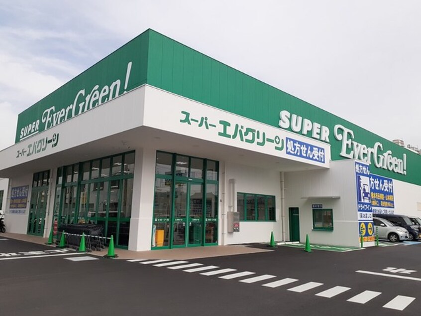 スーパーエバグリーン橋本店様(スーパー)まで312m フレグランスフクイ
