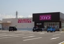 ディスカウントドラッグコスモス四箇郷店様(ディスカウントショップ)まで965m カーム松本Ｂ