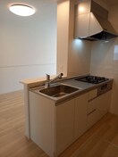 同仕様 ソレアード・ポールⅡ