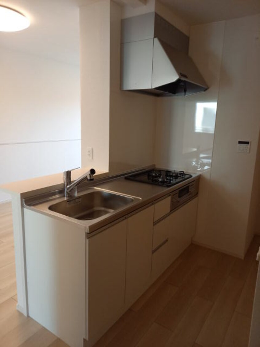 同仕様 ソレアード・ポールⅡ